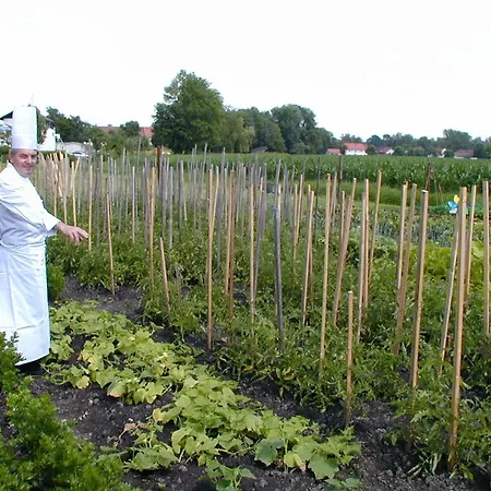 乌尔丁格尔霍夫库尔酒店 3*