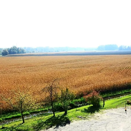 Hotel Wuerdinger Hof