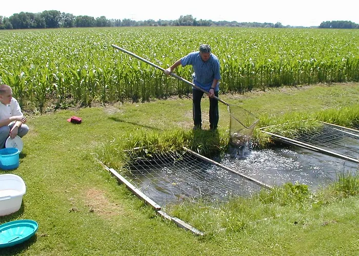 酒店 乌尔丁格尔霍夫库尔酒店