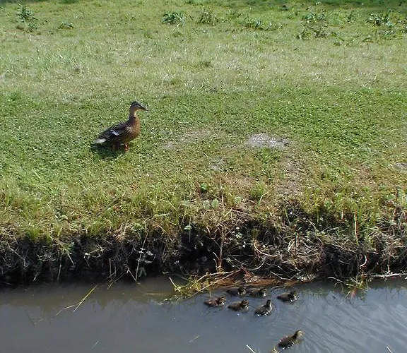 Wuerdinger Hof 3* Bad Füssing